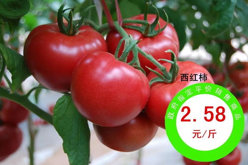 平價(jià)惠民，品質(zhì)安心 政府指定農(nóng)副產(chǎn)品熱銷進(jìn)行時(shí)